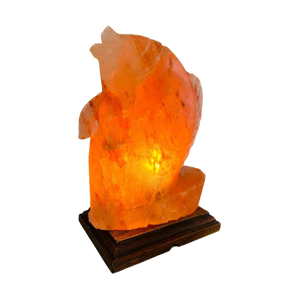 Salzkristall Lampe ''Fisch'' auf Holzsockel