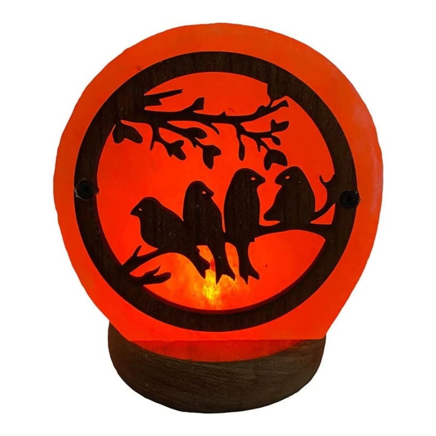 Stimmungsvolle USB LED Salzkristall Lampe "Bird"