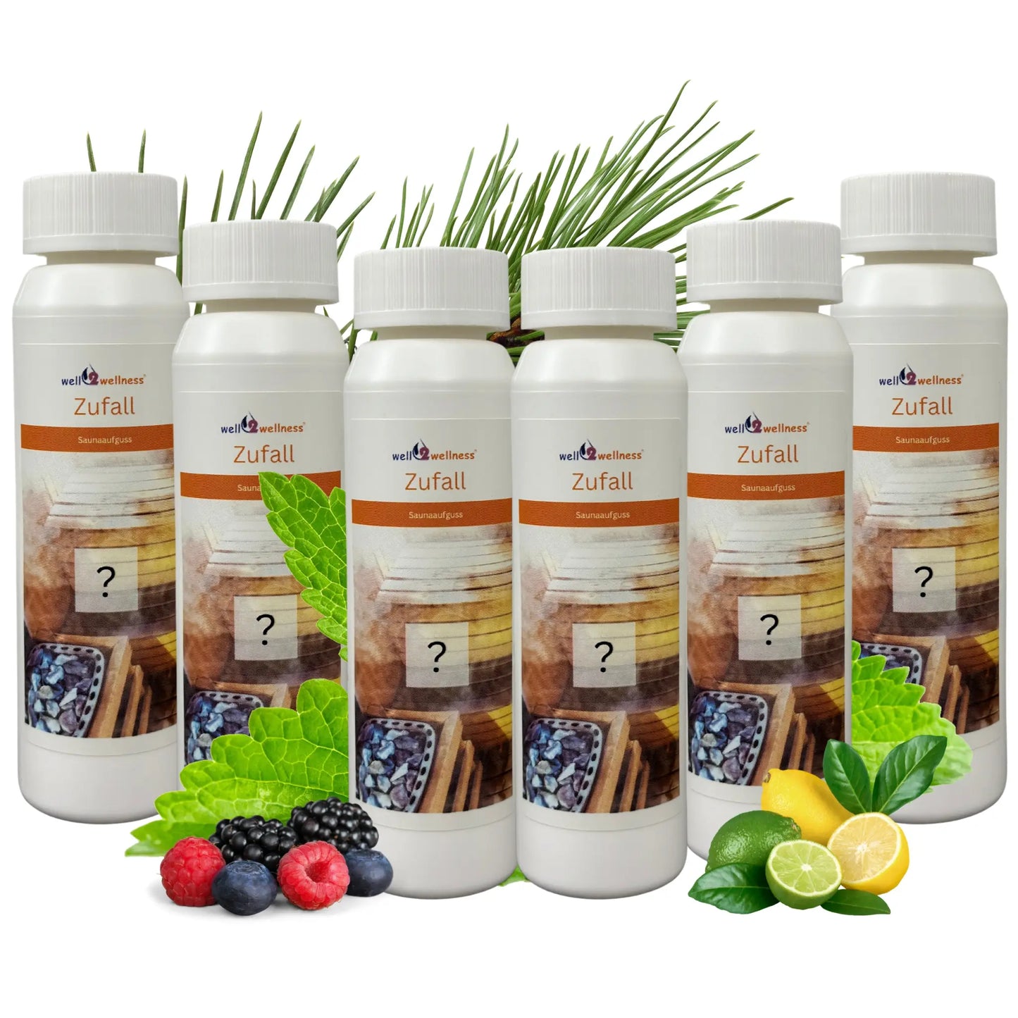 well2wellness® Saunaaufguss Set 6 x 125 ml "Zufall" + 10g Mentholkristalle