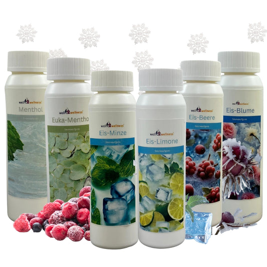 well2wellness® Saunaaufguss Set 6 x 125 ml "Eis" + 10g Mentholkristalle