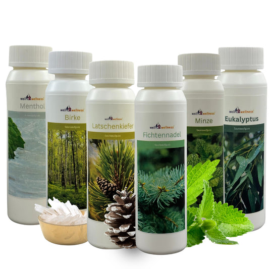 well2wellness® Saunaaufguss Set 6 x 125 ml "Die Klassiker" + 10g Mentholkristalle