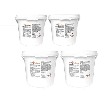 well2wellness® Chlor L-Tabs 200g - langsam lösliche Chlortabs 200g