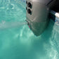 Pool Einhänge-Gegenstrom-Schwimmanlage Aqua.Stream 100