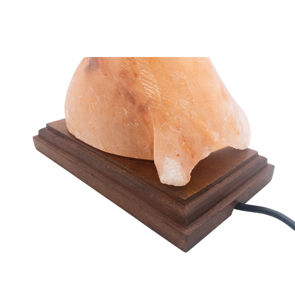 Salzkristall Lampe ''Delfin'' auf Holzsockel