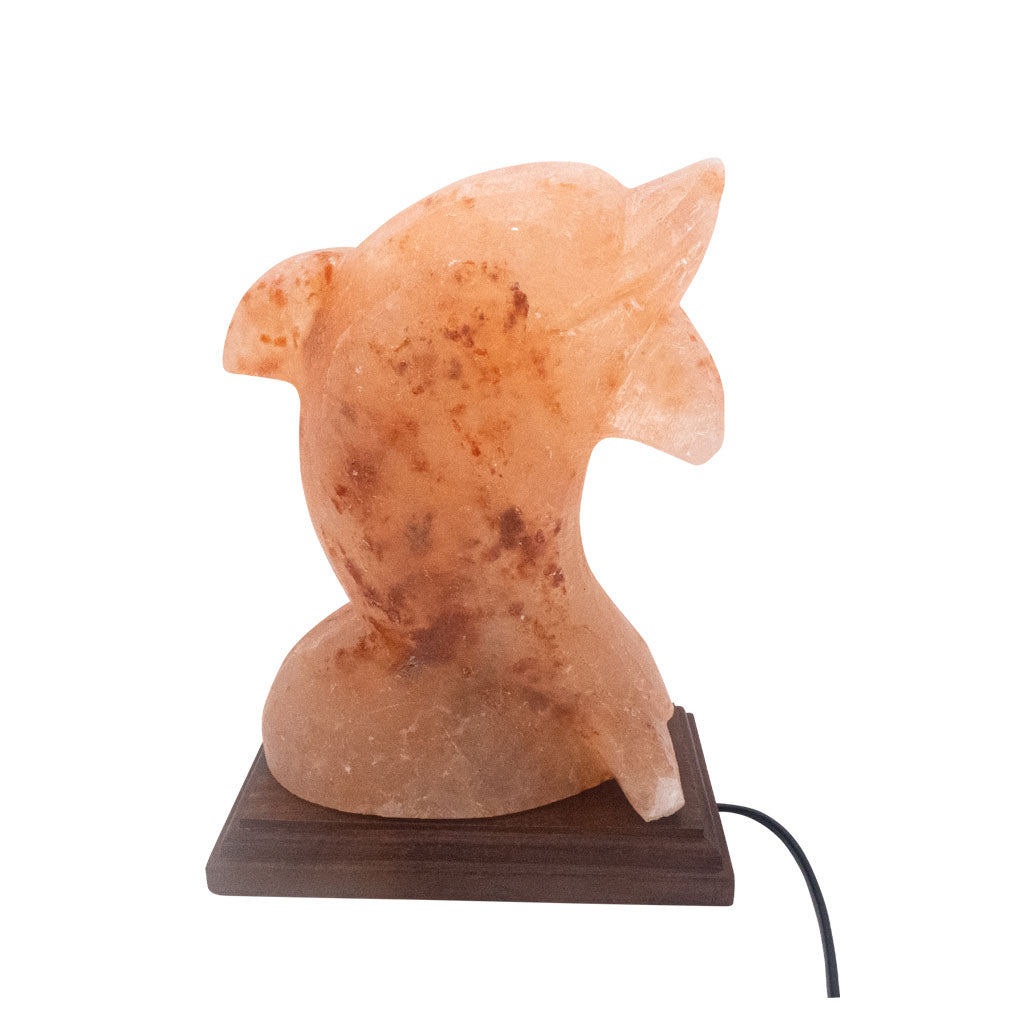 Salzkristall Lampe ''Delfin'' auf Holzsockel