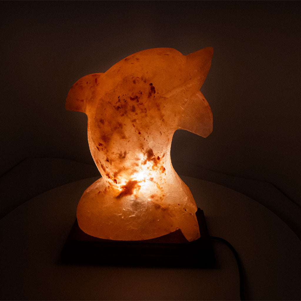 Salzkristall Lampe ''Delfin'' auf Holzsockel