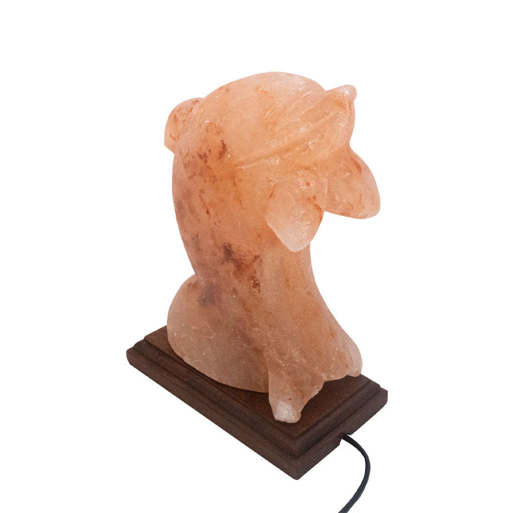 Salzkristall Lampe ''Delfin'' auf Holzsockel