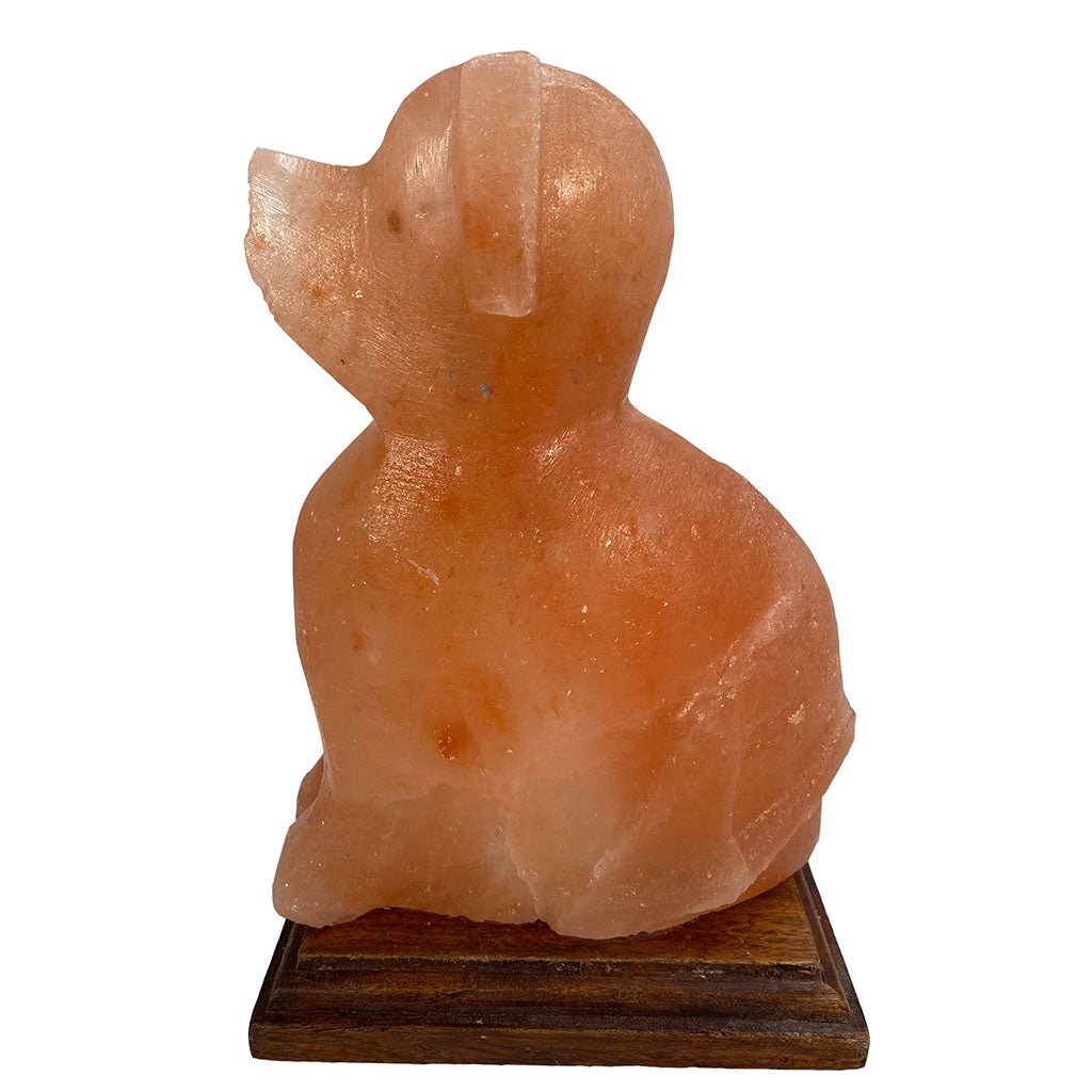 Salzkristall Lampe ''Hund'' auf Holzsockel