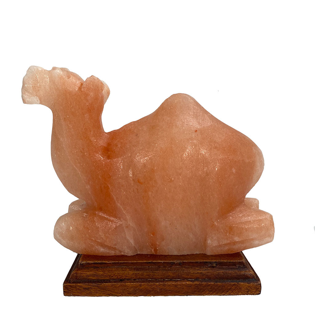 Salzkristall Lampe "Kamel" auf Holzsockel