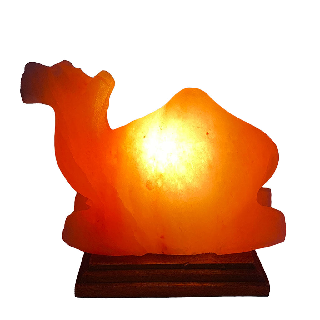 Salzkristall Lampe "Kamel" auf Holzsockel